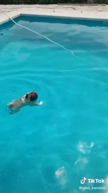 28 января 2023 г.