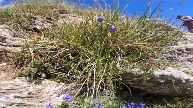 Изкачване на връх Вихрен през х.Вихрен - класически маршрут VLOG