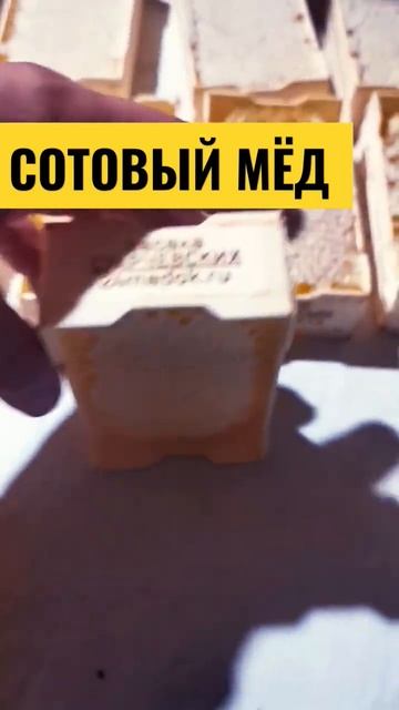 Секционный сотовый мёд. Красиво и вкусно 👍