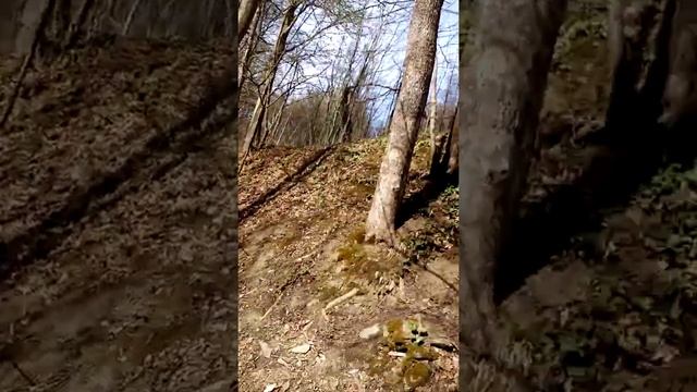 екопътека и водопад бръмбър скок троян