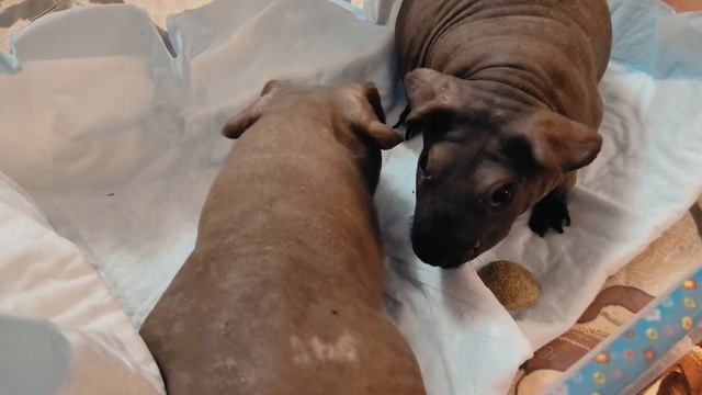 2 декабря 2022 г.