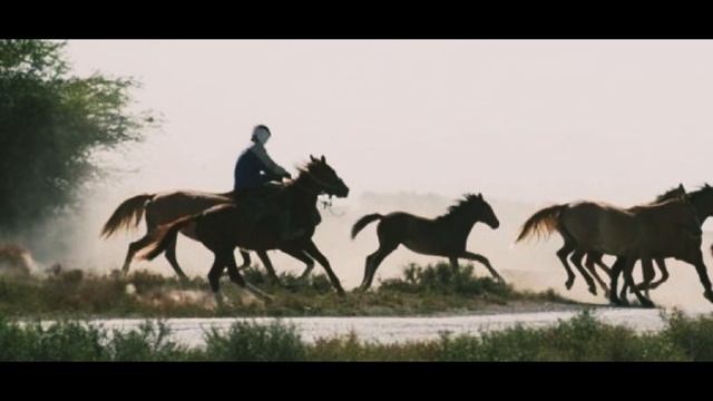 Ғарифолла Құрманғалиев - “Жылқышы”