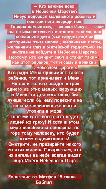 56d72c9e9ab3c24a56008d49c242a26c