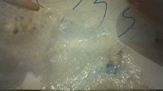 ШОК!!!ПОСЫЛКА ЛПС НЕВЕРЮ ГЛАЗАМ СТОЯЧКИ!!!