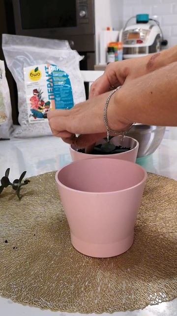 4359d77ff54bae58427bf52f04f0c87b