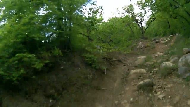 Cdb6a757542c5d81d6faf18c1b3d6d38