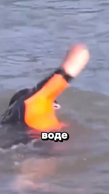 C4065cf563348c5520c4728af362c8d3