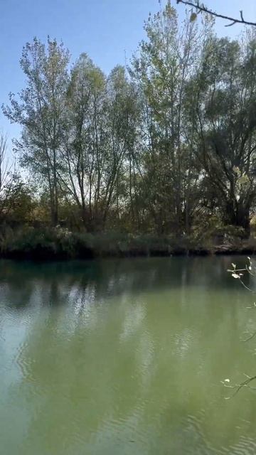 Купить участок у реки в Ростове-на-Дону . 10 соток в х.Ду?