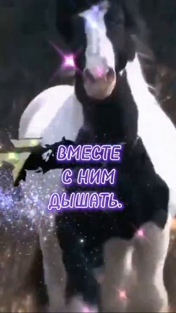 F4c99bfad123df87c58059d606bbe8a3