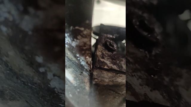 Make It Yourself Maestros