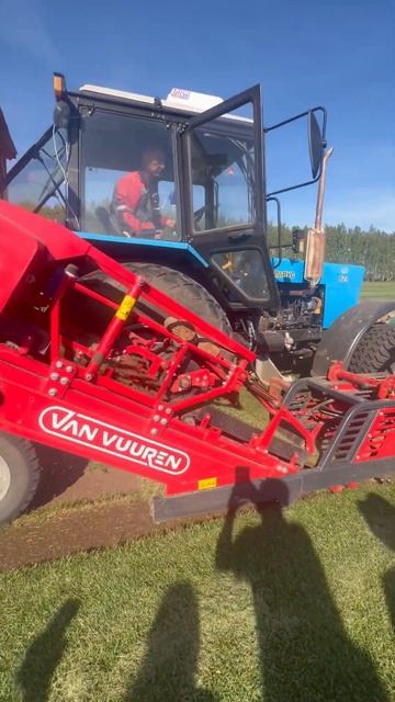 Рулонный газон срезка 2024