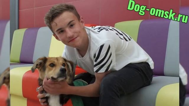 Поездка в цирк, НАОМИ.