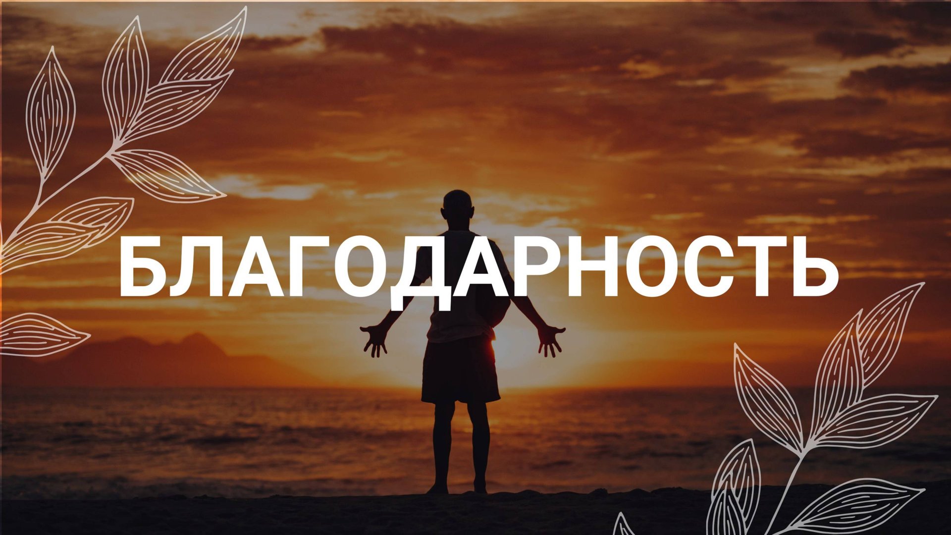 Благодарность / Медитация