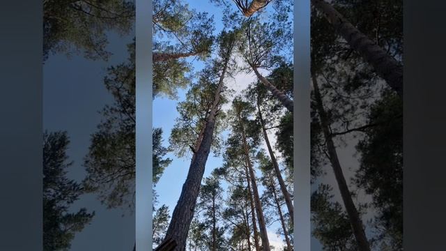 ВЕРА..в цель..🥳..и точка..