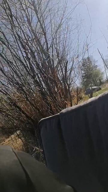 Lv_0_20250501161153.mp4