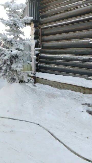 бани в аренду