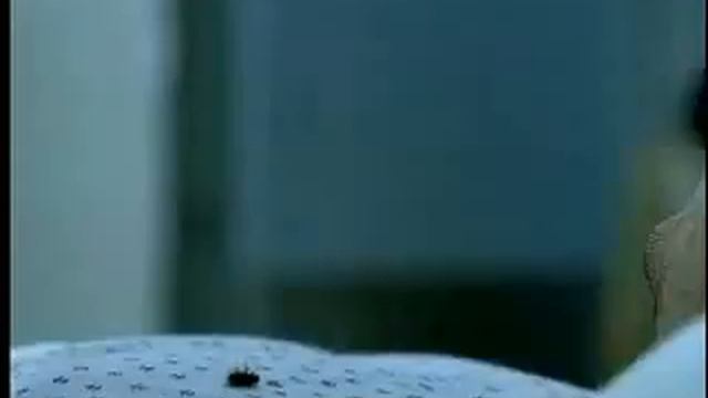 Не верь своим глазам)))