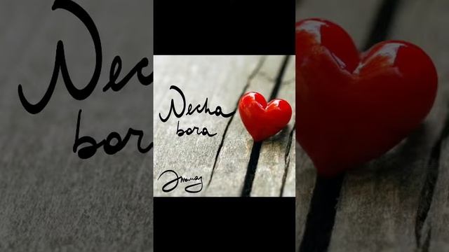 Эльмаз - Necha Bora