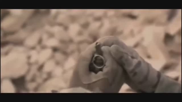 7c4721e1d5d55f0df9fb28ad318af9b2