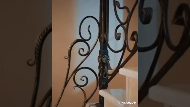 Семена и солнце