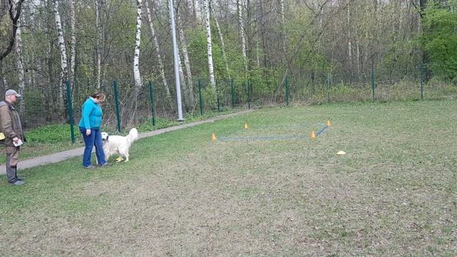 онлайн обидиенс Кузнецова и Рэй(1)