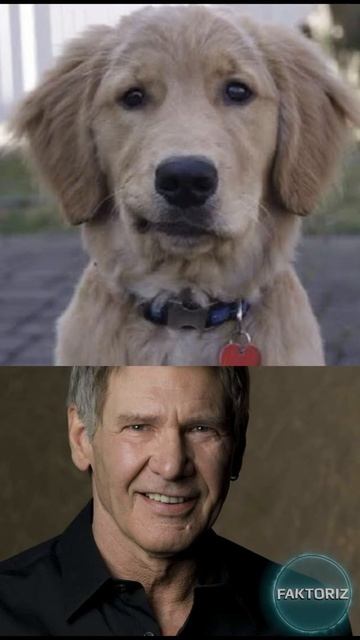 Эти животные похожи на людей. #shorts