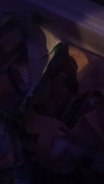 #shorts #рецепт ужин на скорую руку