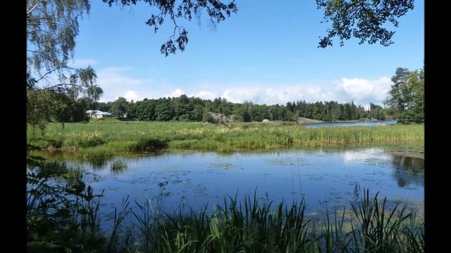 Парк Монрепо Прогулка с Александром Тертичным Монтаж Екатерина Демидова