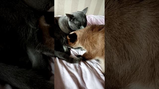 E079c67afa15d016a554689f403e48d3