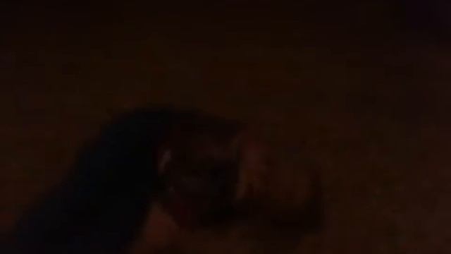 новый хип хоп и бухой Enard 12 Sises