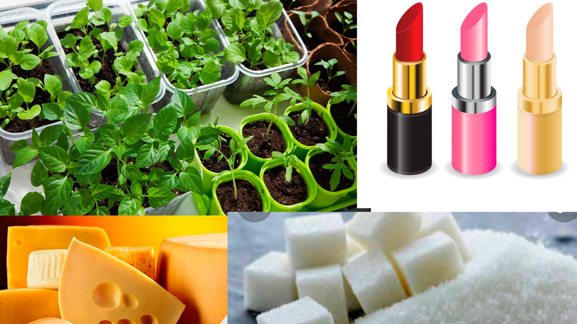 А вы не картавите?