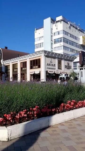 Клумбы КИСЛОВОДСКА.