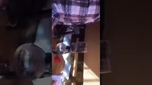 StorozhukNikita   Костромича сифонит в хабе