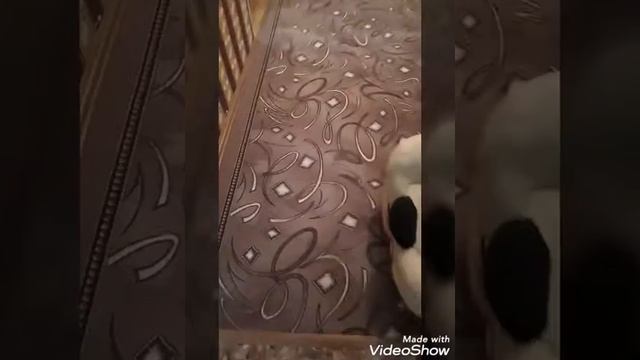 Acfc5bd0cad2580b3d6a2244c484316c