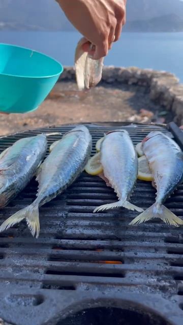 Скумбрия на гриле. Турция