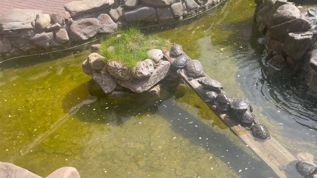 6b44c060ae0255ad012b3ddbe9cea396