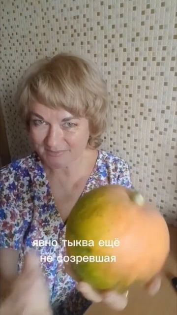 тыква созрела? как определить #дача #сад #клумба #цветы