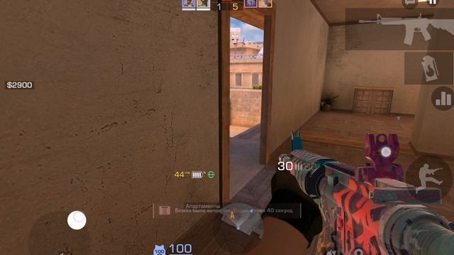 SVID_20250508_153522_1.mp4