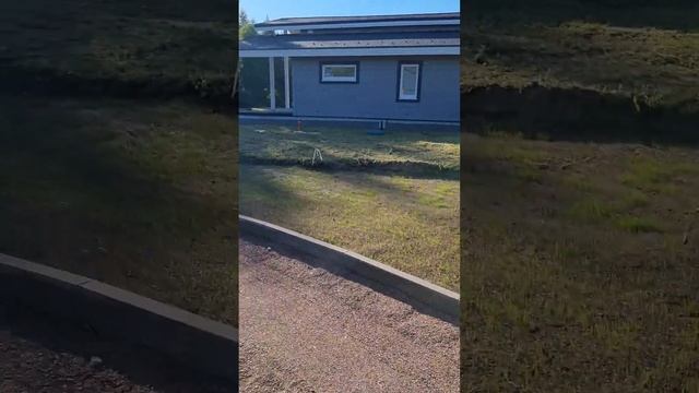 Взошел газон. День седьмой.