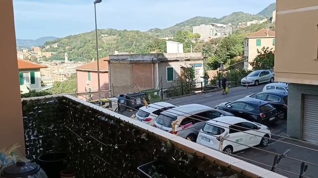 15 октября 2023 г.