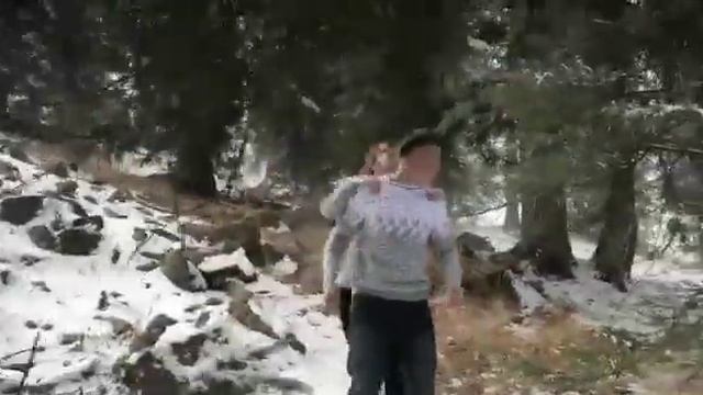 19 ноября 2017 г.