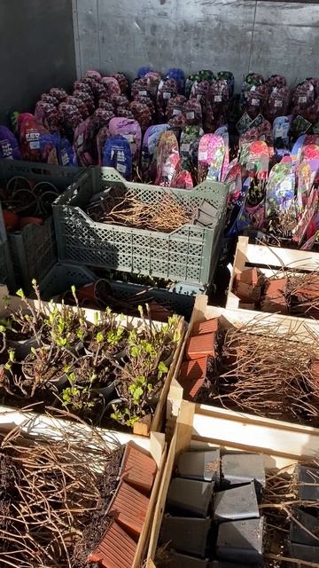 6f13598f0198e24c58492b3e8e1611bc