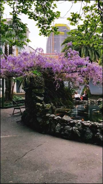 B7ea6feefb02f1b3a6f61f0ef68cc9e4