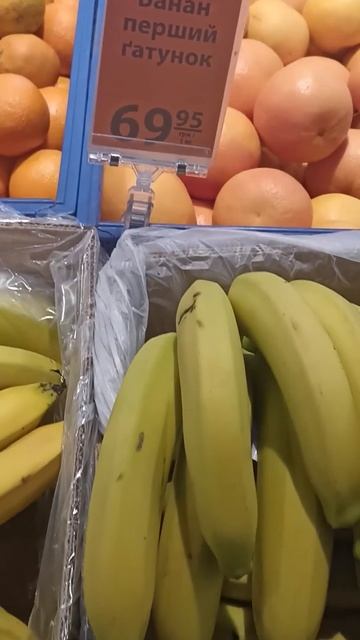 978eb65ad8ed92b051072d74dcf0b169