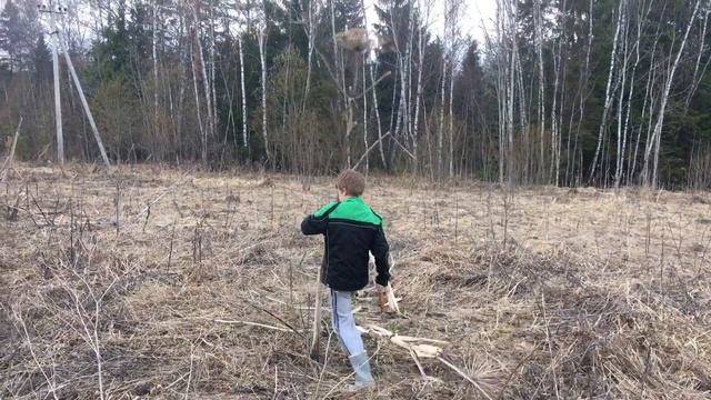 Вовка и борщевик