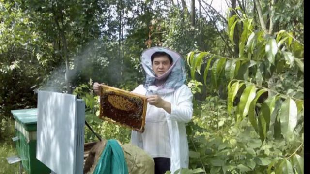 53bad8a6135dccddce7d342d1f4149a9