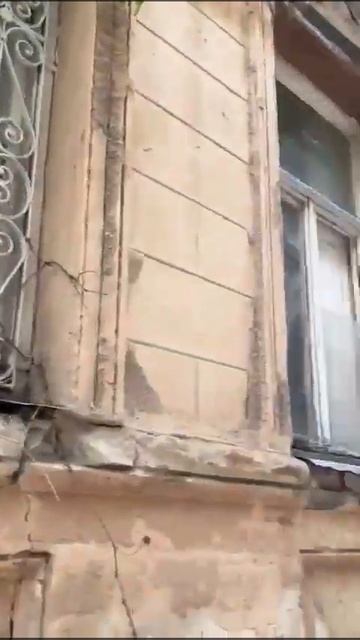 Виноград и гранат на улице в Тбилиси #travel #georgiatravelguide