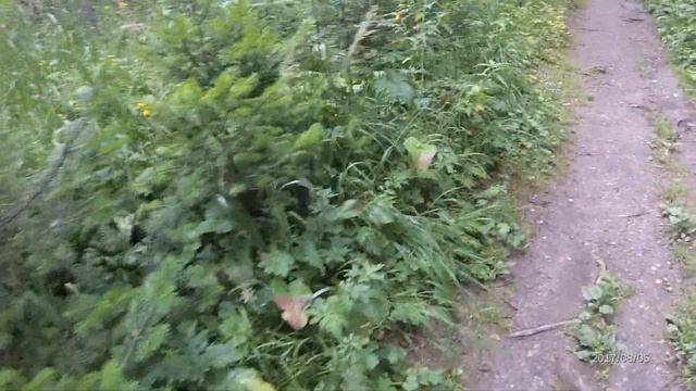 Иремель КПП начало пути к Иремелю