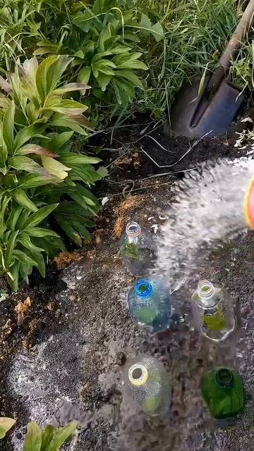 Fabbdaf8e87d7d85793ead099e835ac1