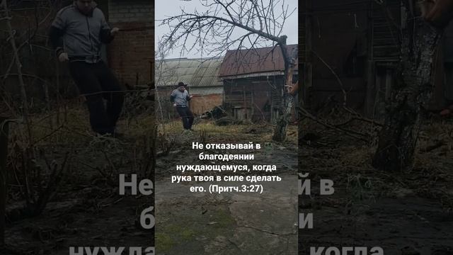 Тренировка с борцовским жгутом
